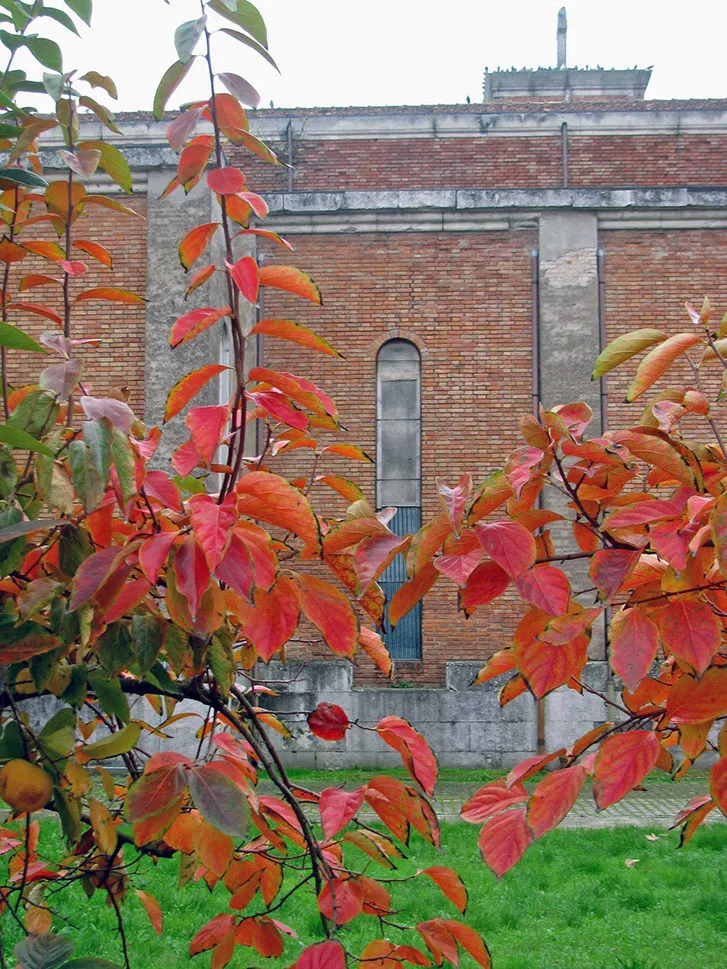 Chiesa della Beata Vergine Immacolata